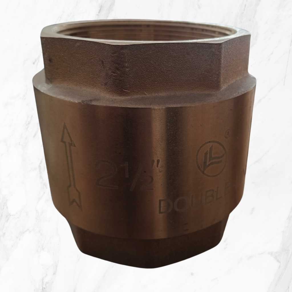 VALVULA RETENCION CIM95  2 1/2´´ IN BSP HI-HI