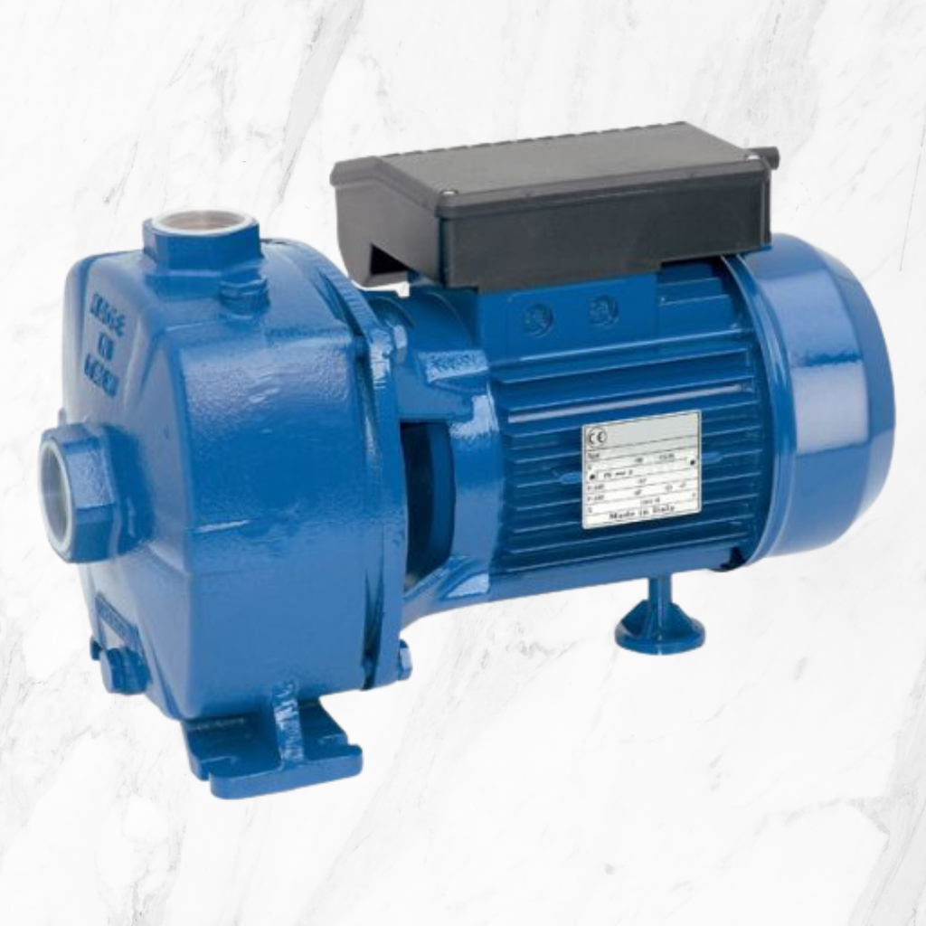 BOMBA REGGIO SSBJ200 2HP 220V