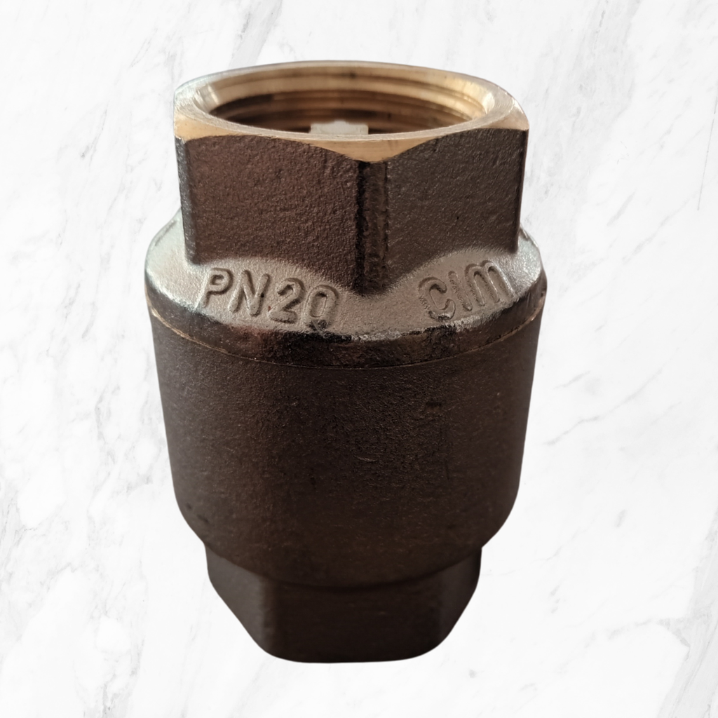 [519376] VALVULA RETENCION METALICA CIM 30 KSB 1 IN BSP HI HI